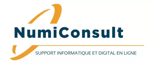 Ancien logo de NumiConsult